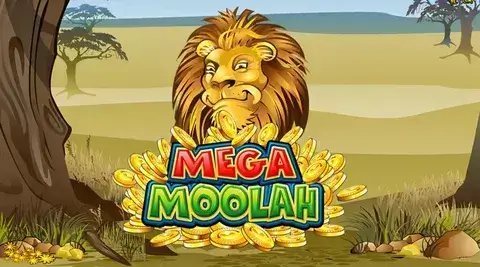 Mega Moolah - The King of Progressive Jackpots with Life-Changing Wins Mega Moolah - Million Dollar Progressive Jackpot Slot